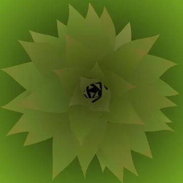 Pineapple Shoot Stock Illustration