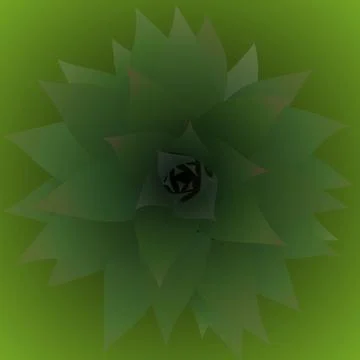 Pineapple Shoot Stock Illustration