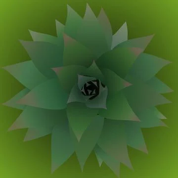 Pineapple Shoot Stock Illustration