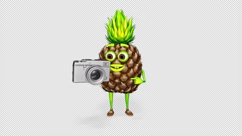 Pineapple Shows Photo Camera Loop on Alpha Channel Stock Footage 162880830