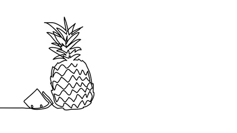 Pineapple single line animated illustration. One continuous self drawing line Stock Footage 301601764