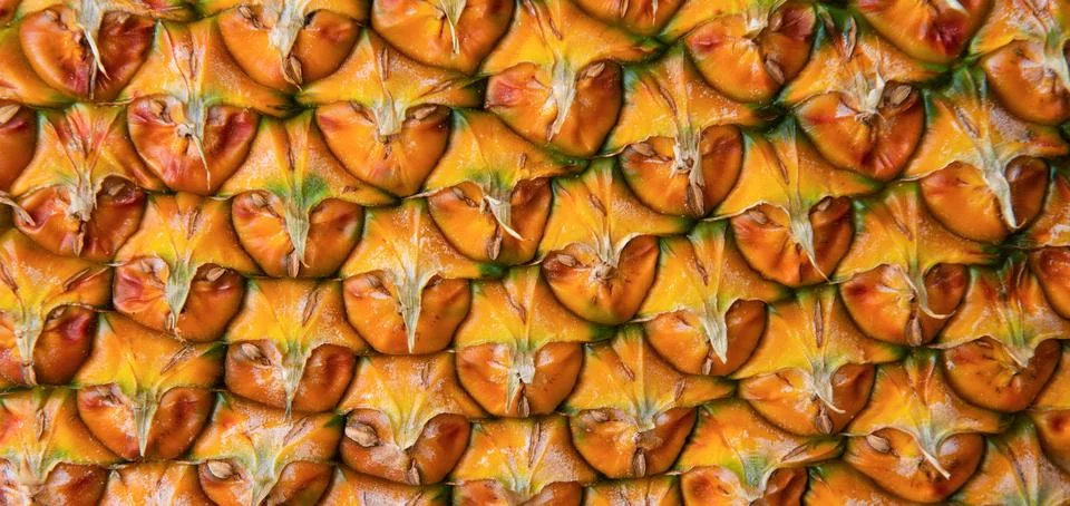 Pineapple skin close up, tropical pattern with copy space. Pineapple bark Stock Photos