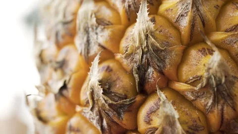 Pineapple Skin, Macro Stock-Footage 95736496