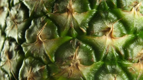 Pineapple skin pattern close up 動画素材 89635618