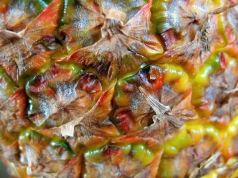 Pineapple Skin Stock Photos
