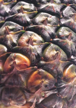 Pineapple skin Stock Photos