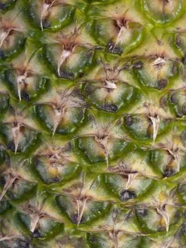 Pineapple skin texture Stock Photos