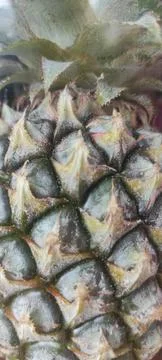 Pineapple skin texture Foto stock