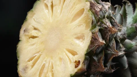 The pineapple slice, creating a sense of mouthwatering freshness. Comestible. Stock Footage 285558424
