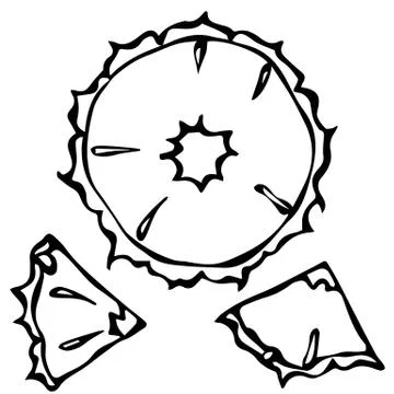 Pineapple Slice Doodle Style Vector Background. Ananas Peace Isolated on White. 스톡 일러스트