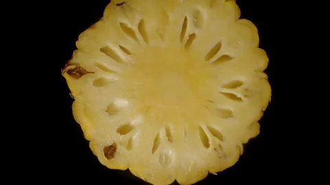 Pineapple Slice in Macro Zoom Falling Slowly in Air with Detailed Yellow Fibrous Video stock 310669066