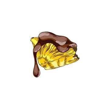Pineapple slice in melted dark chocolate hand drawn vector, tropical fruit Stock Illustration