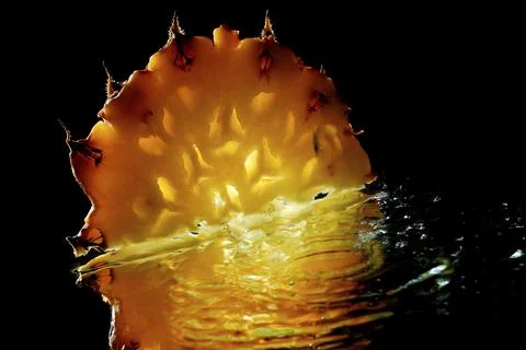 Pineapple slice Stock Photos