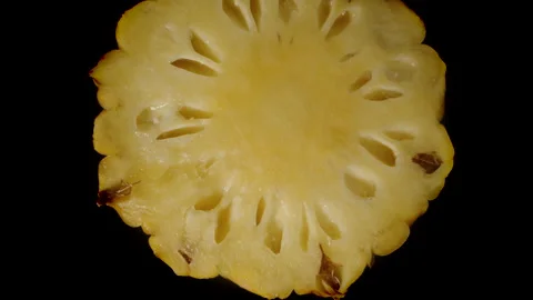 Pineapple Slice Rotating and Falling in Macro Zoom Showing Symmetrical Yellow Video stock 310669320