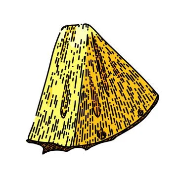 Pineapple slice sketch hand drawn vector 스톡 일러스트