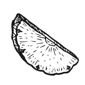 Pineapple slice vector sketch illustration. Tropical ananas Stock Illustration