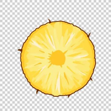 Pineapple slices 스톡 일러스트