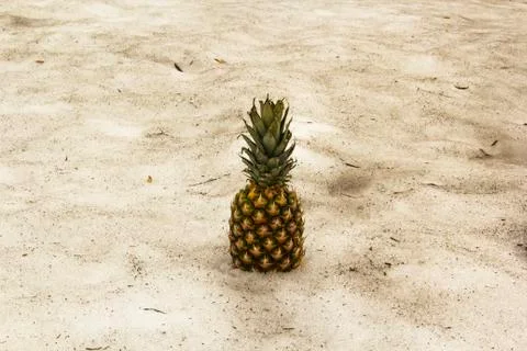Pineapple on the snow Stock Photos