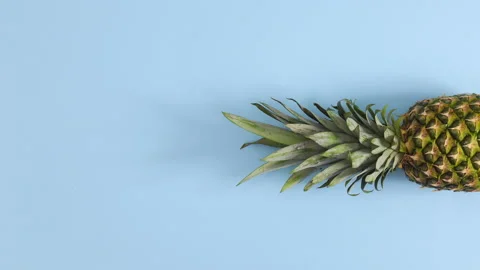 Pineapple spin in place on right side of pastel blue theme. Stop motion Video stock 141168628