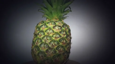 Pineapple spinning on turntable with black vignette 스톡 동영상 184602164