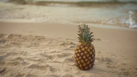 Pineapple standing in yellow hot summer sandy beach on waving sea background 스톡 동영상 253258324