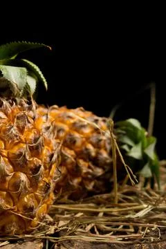 Pineapple. straw. black background Stock Photos