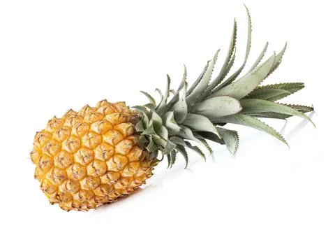 Pineapple in studio Stock Photos