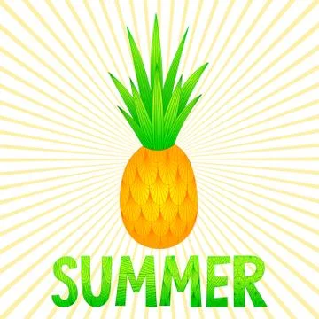 Pineapple with sunbeams. Doodle. Color vector illustration. Stock Illustration
