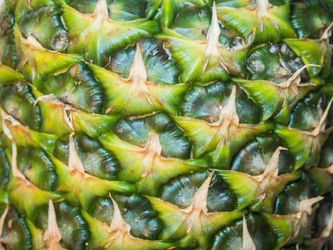 Pineapple surface Photos