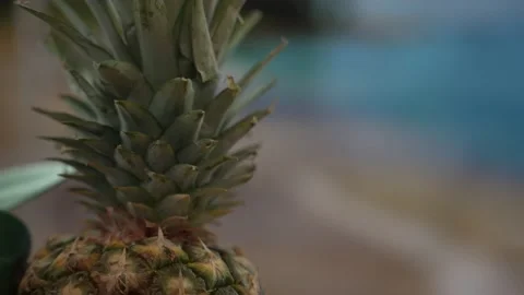 Pineapple on Table - A Taste of the Tropics Video stock 235934357