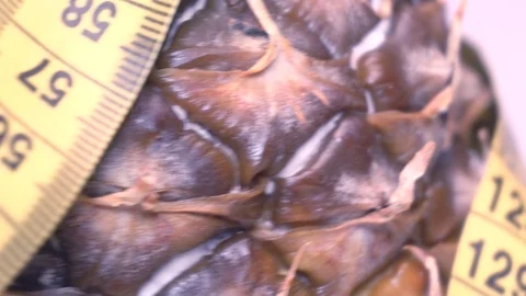 Pineapple with tape measure Stock Footage 100631896