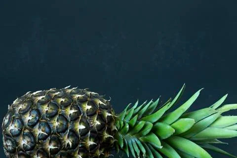 Pineapple template on a black background Stock Photos