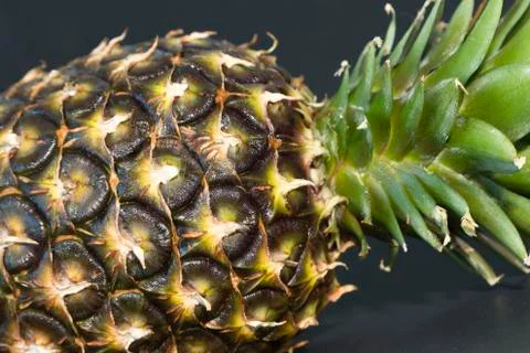 Pineapple template on a black background Stock Photos