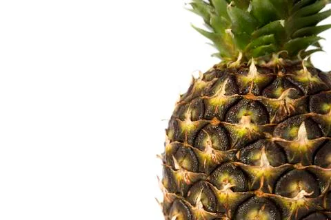 Pineapple template on a white background Stock Photos