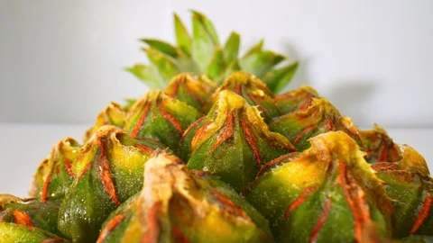 A pineapple texture in macro video Stock Footage 242055810