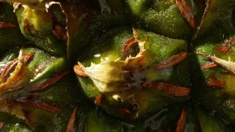 A pineapple texture in macro video Stock Footage 242055874
