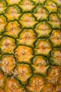 Pineapple texture Stock Photos
