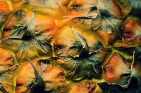 Pineapple texture Stock Photos