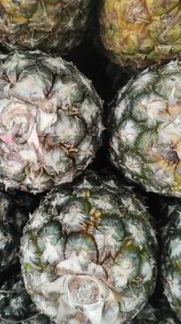 Pineapple texture Stock Photos