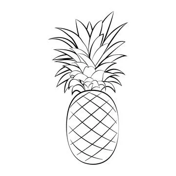 Pineapple with a thin line. Vector on a white background Stock Illustration