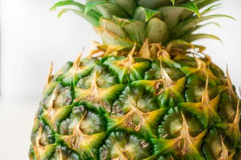 Pineapple top on a light gray background. Stock Photos