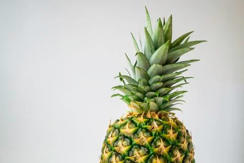 Pineapple top on a light gray background. Close up Stock Photos