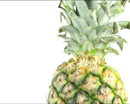 Pineapple top loop Video stock 772835