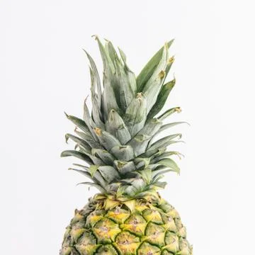 PINEAPPLE TOP Stock Photos