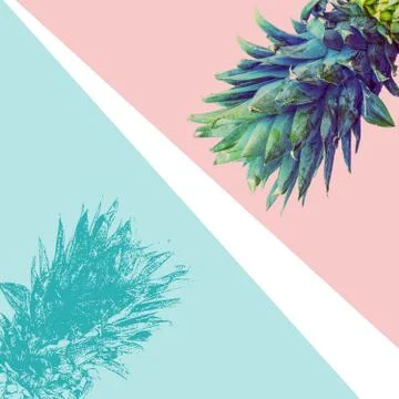 Pineapple top retro 스톡 일러스트