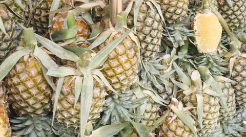Pineapple trades in the market Stock Footage 60561632
