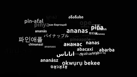 Pineapple Translated in 53 Worldwide Languages Endless Looping 3d Zooming Wor Video stock 145216085
