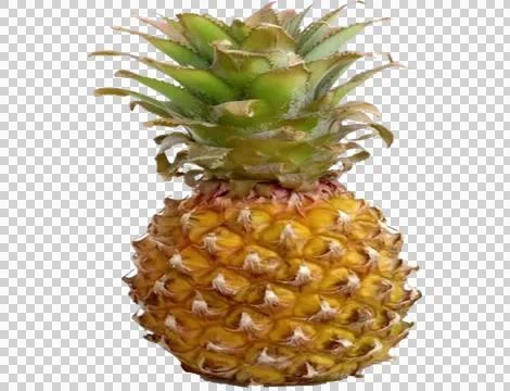 Pineapple with transparent background 스톡 사진