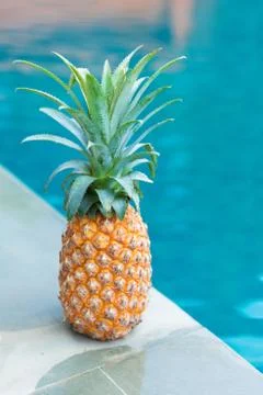 Pineapple tropic fruit summer refreshment pool Stock Photos