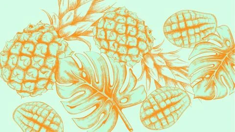 Pineapple tropic summer pattern Vector line arts. Exotic banner card template 스톡 일러스트